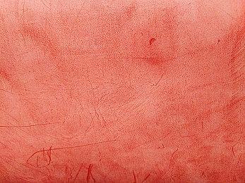 《胜利女神》新女神艾蕾格公开 短发遮目巨胸露脐